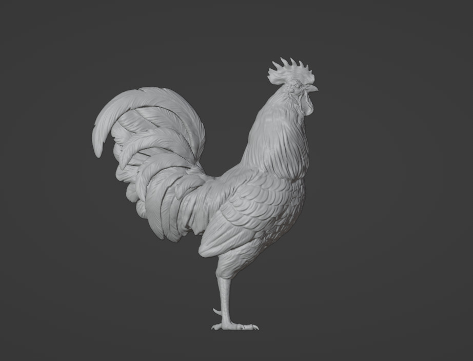 ROOSTER 3D model_2
