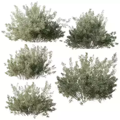 Collection mixed plants bush shrubs set 05 corona