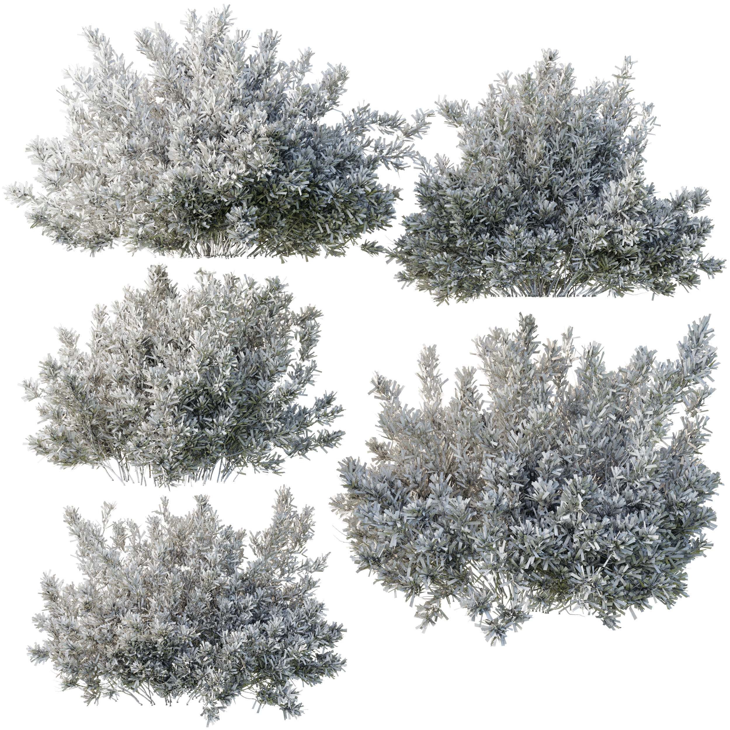 Collection mixed plants bush shrubs set 05 corona 3D model_6