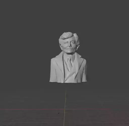 Peter Falk 3D print model