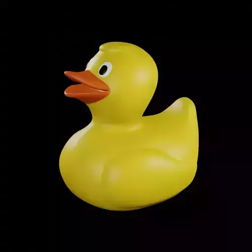 Duck Toy