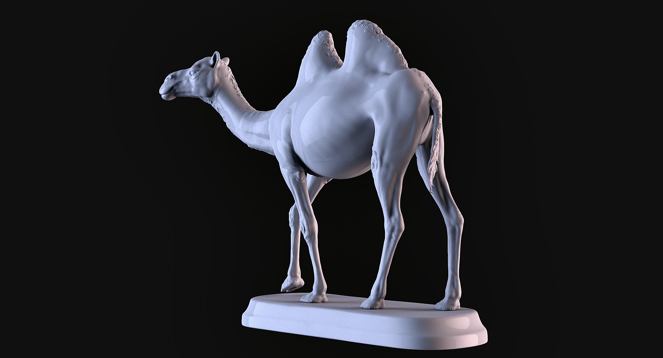 Camels  3D print model_4