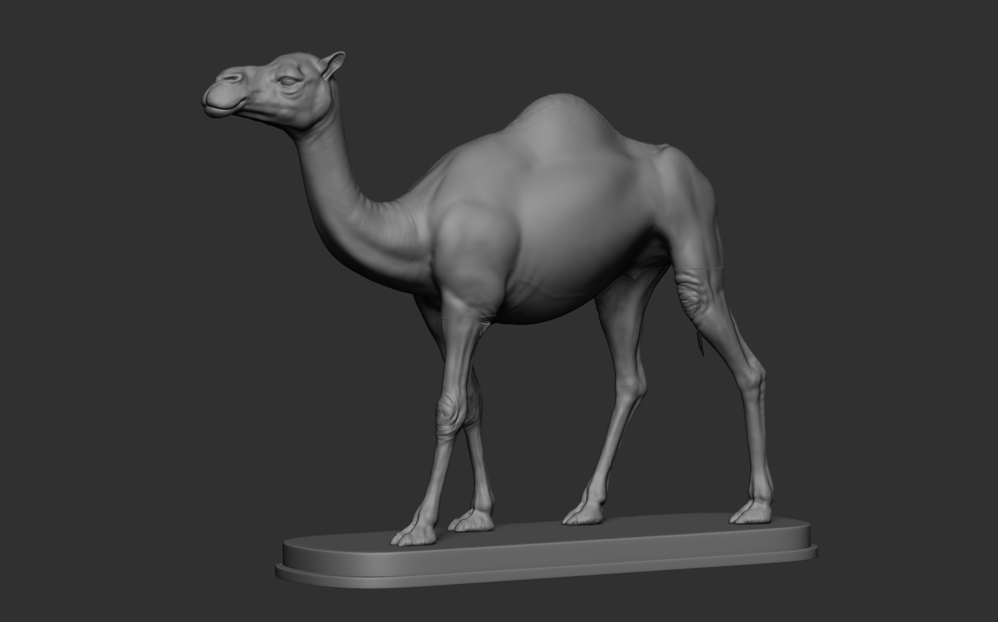 Camels  3D print model_9