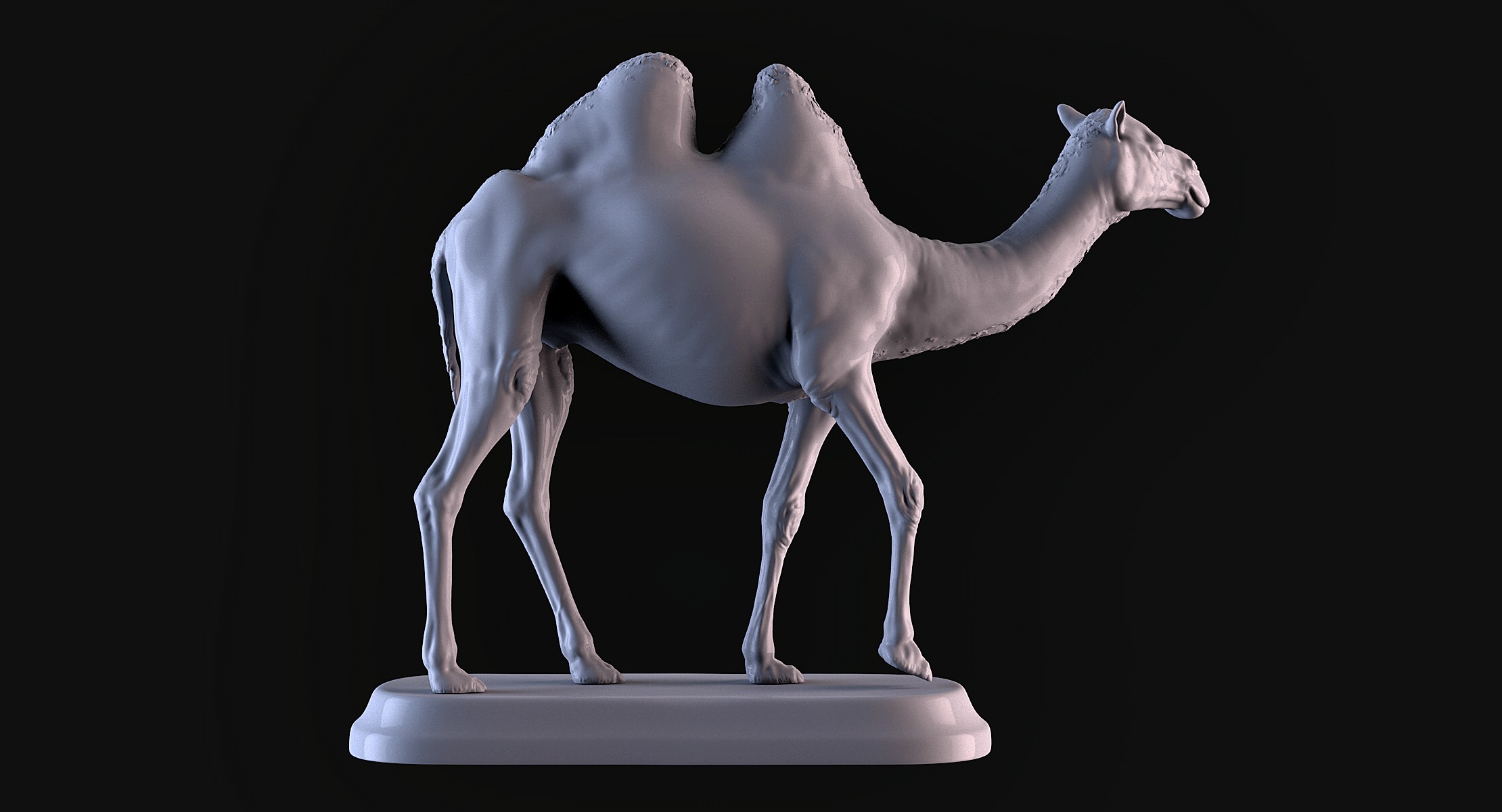 Camels  3D print model_3