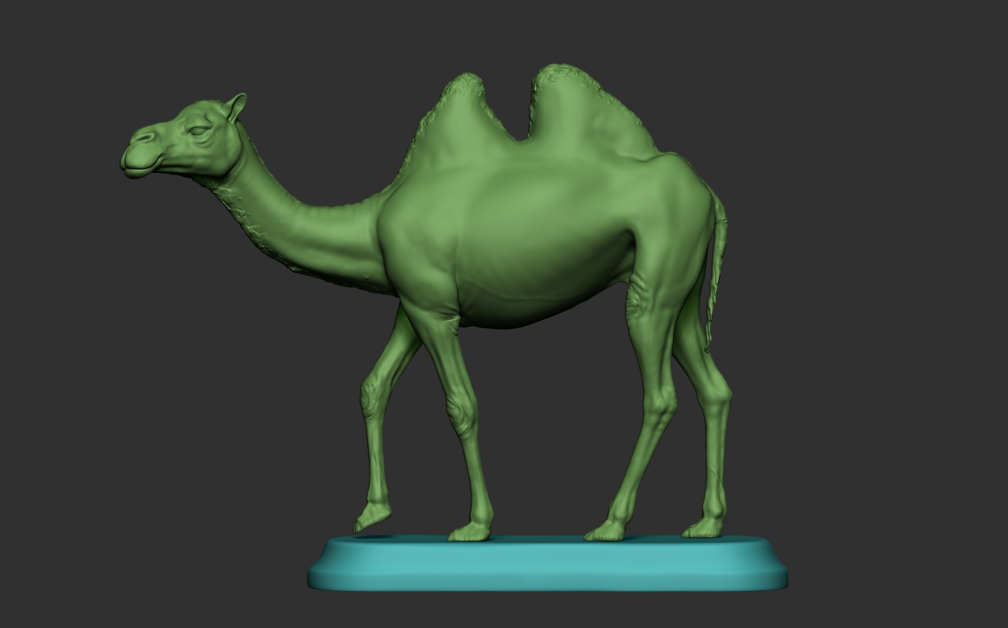 Camels  3D print model_8