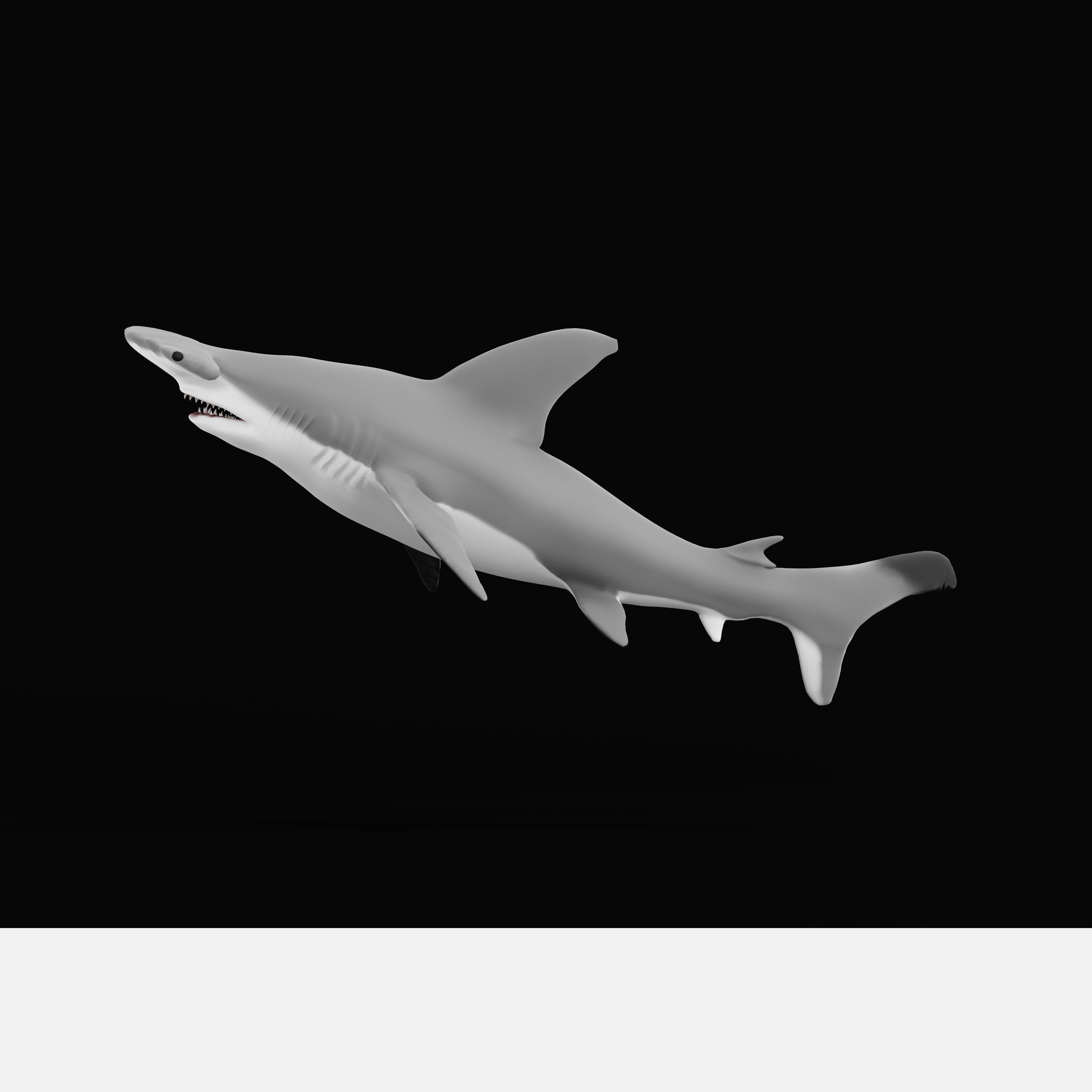 Hammerhead Shark Low-poly 3D model_39