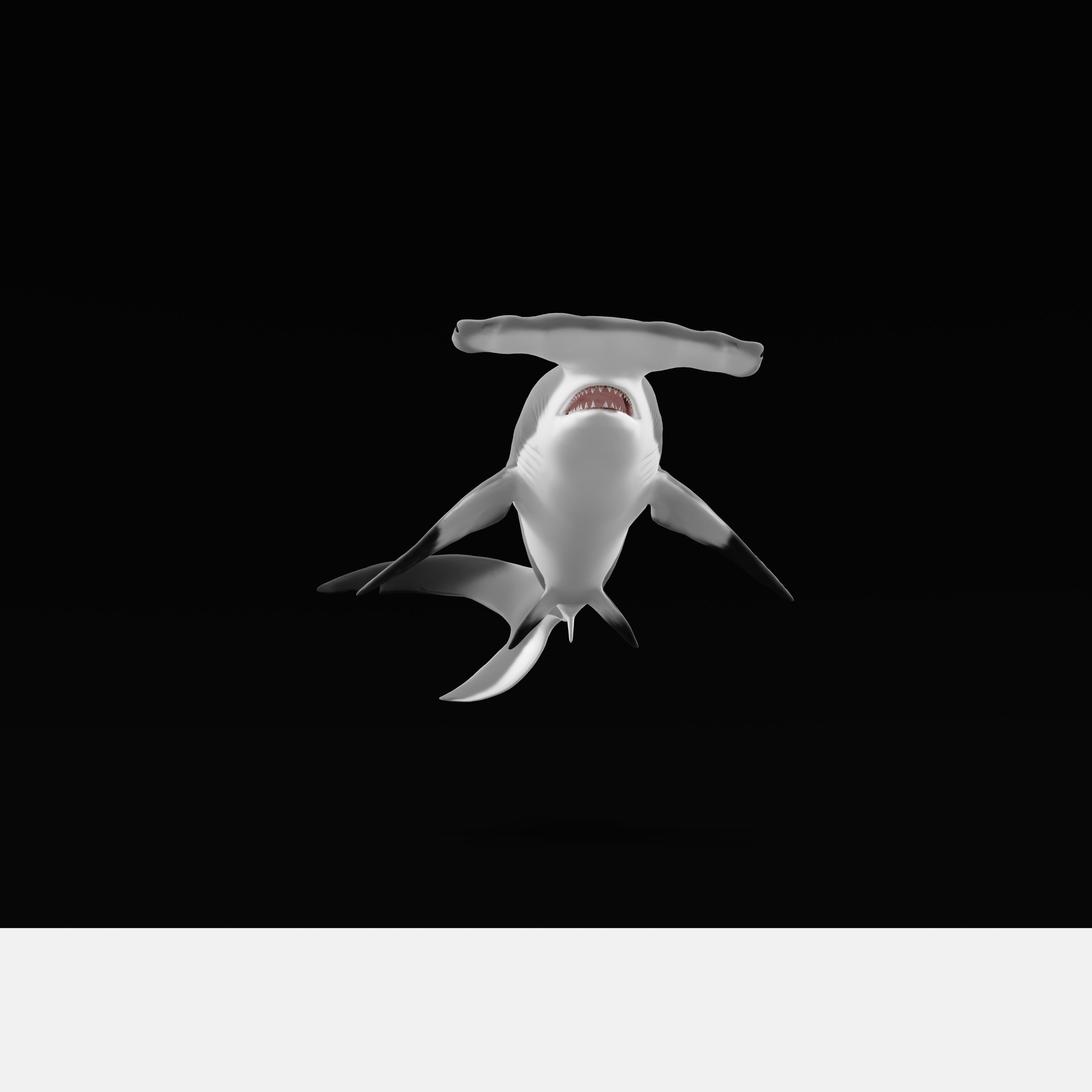 Hammerhead Shark Low-poly 3D model_36