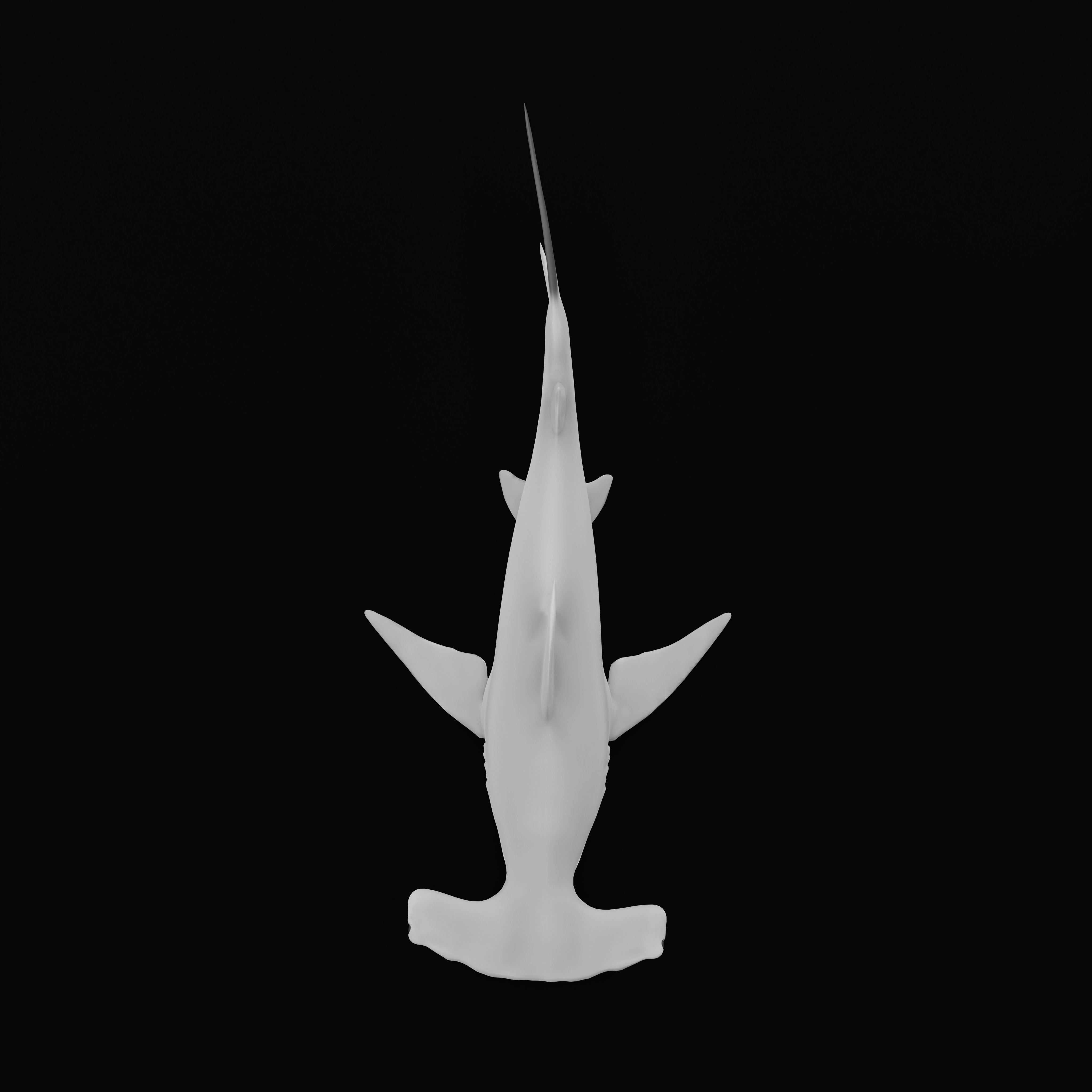 Hammerhead Shark Low-poly 3D model_35