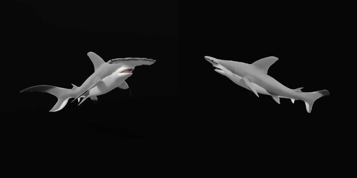 Hammerhead Shark Low-poly 3D model_34