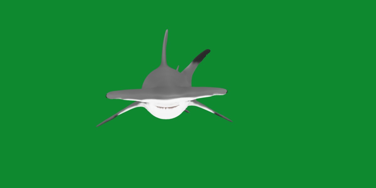 Hammerhead Shark Low-poly 3D model_19