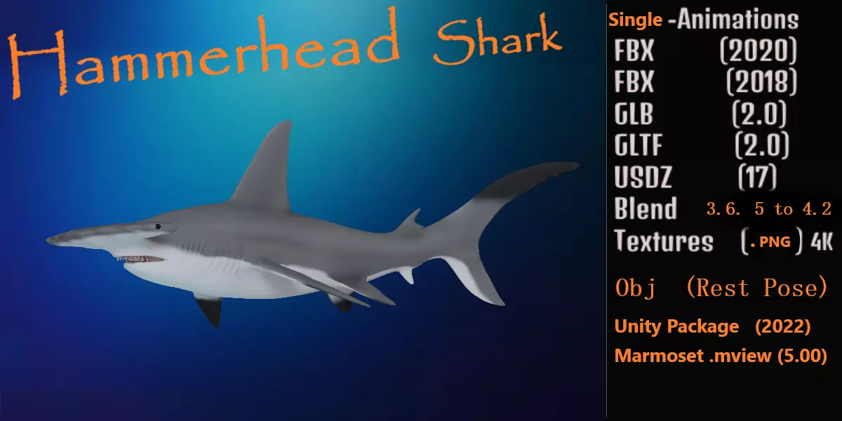 Hammerhead Shark Low-poly 3D model_0