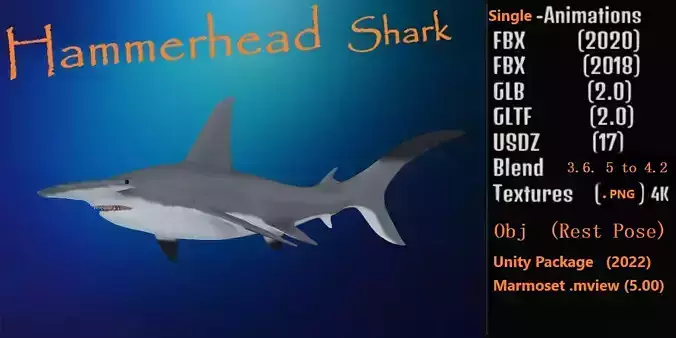 Hammerhead Shark Low-poly 3D model