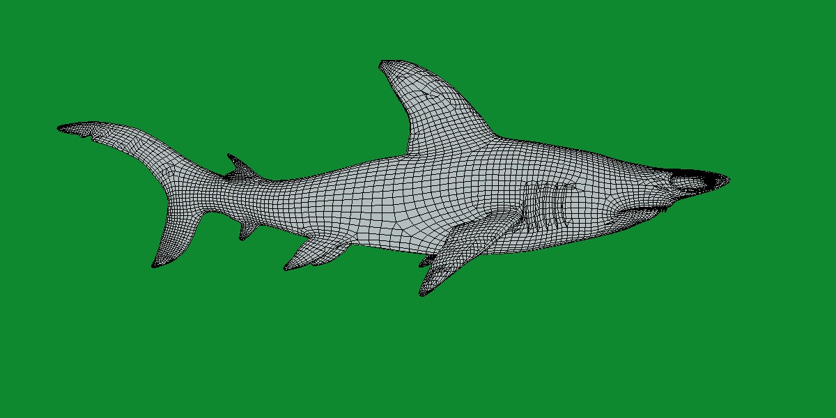Hammerhead Shark Low-poly 3D model_21