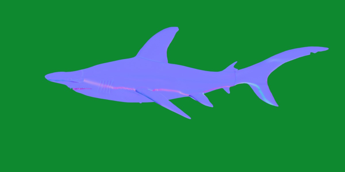 Hammerhead Shark Low-poly 3D model_12