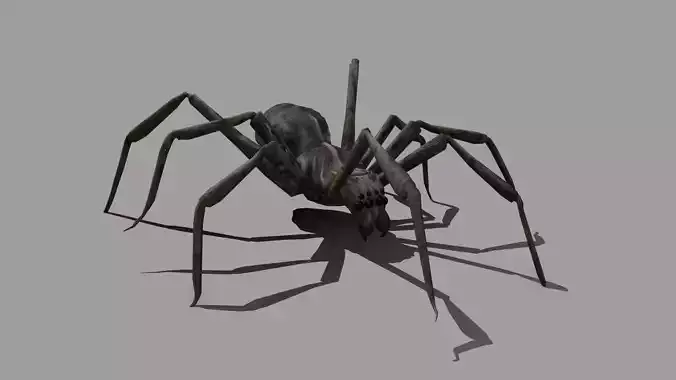Spider Low-poly 3D model