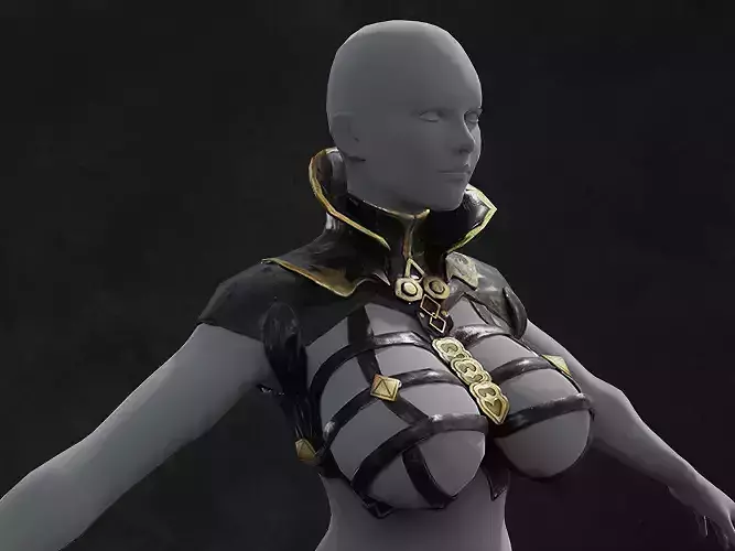 Wizzard Suit Character Game Asset Low-poly 3D model