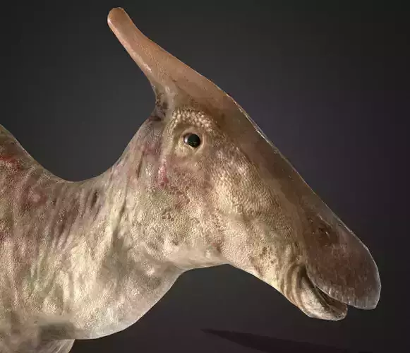 Saurolophus 