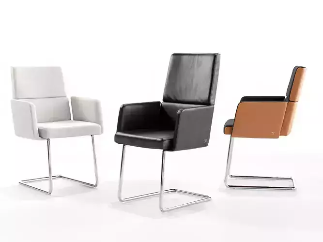 DS 414 Cantilever Armchairs