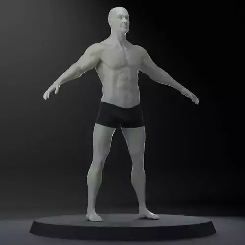 Male Body