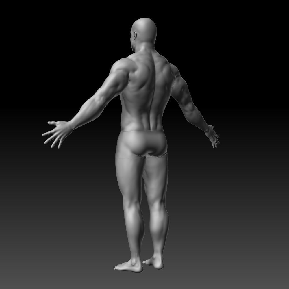 Male body 3D model_13