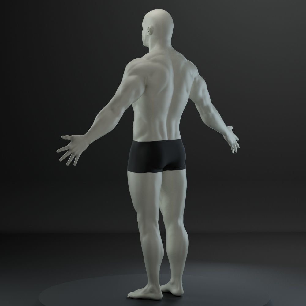 Male body 3D model_5
