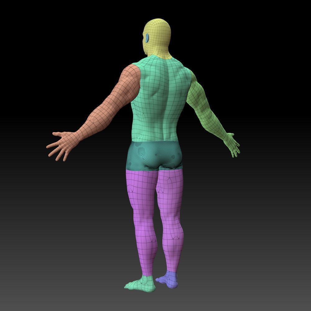 Male body 3D model_18