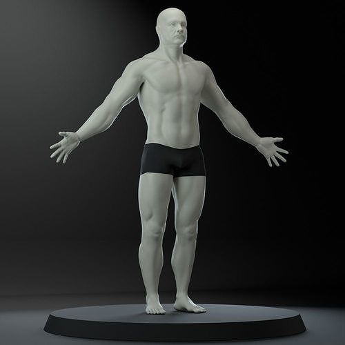 Male body 3D model