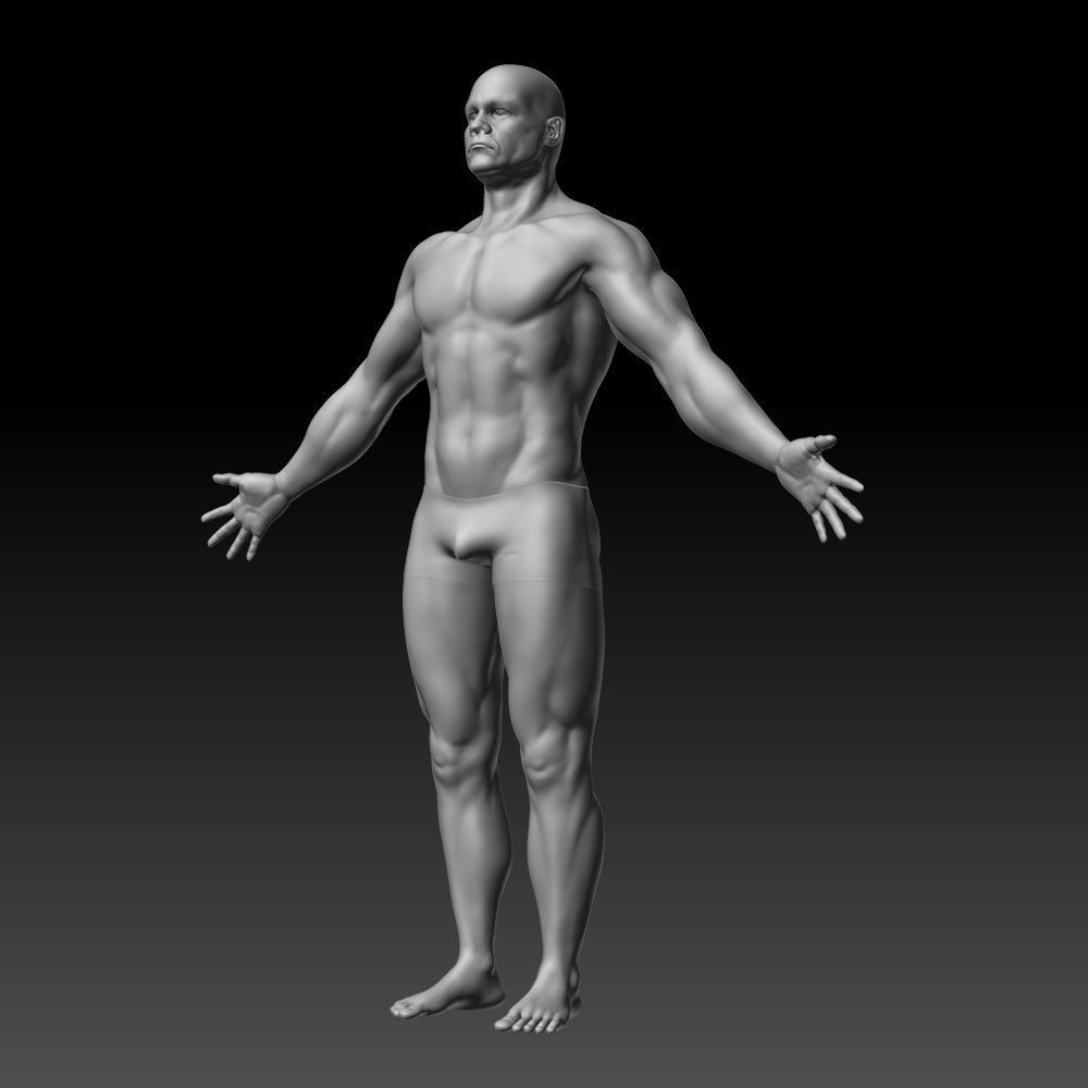 Male body 3D model_9