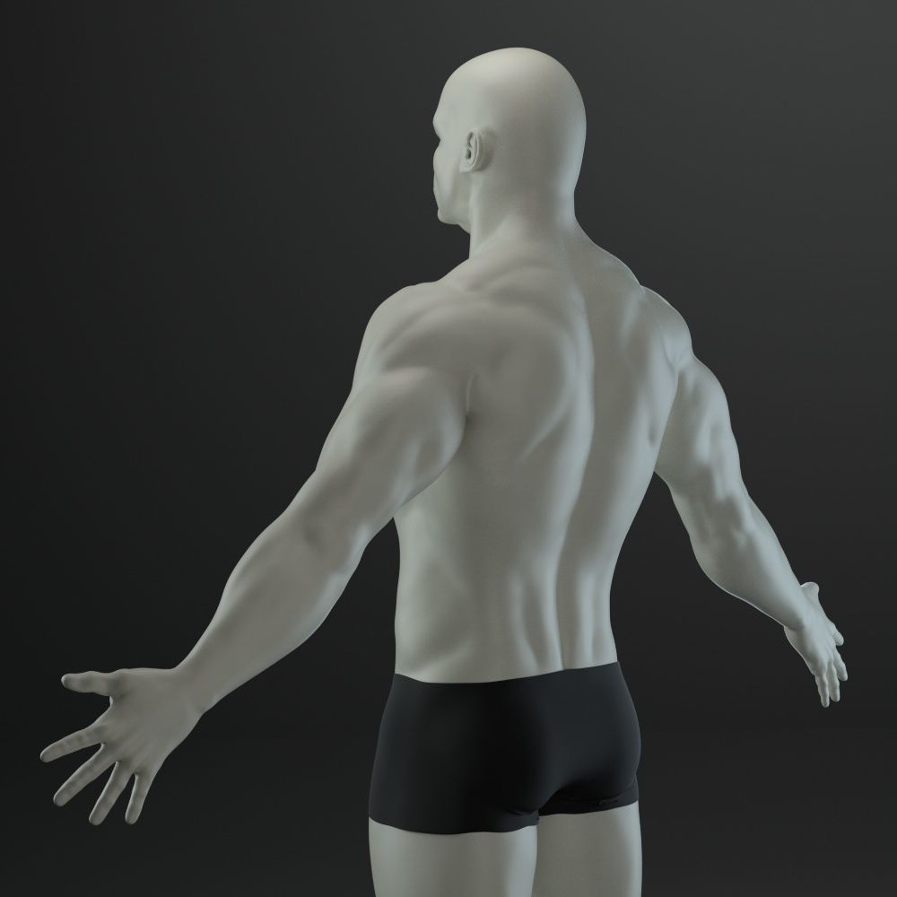 Male body 3D model_6