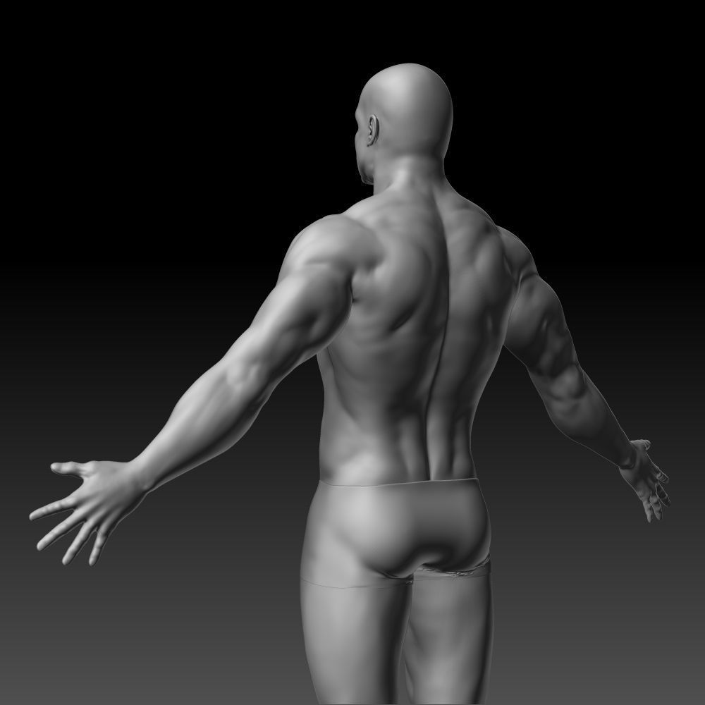 Male body 3D model_14