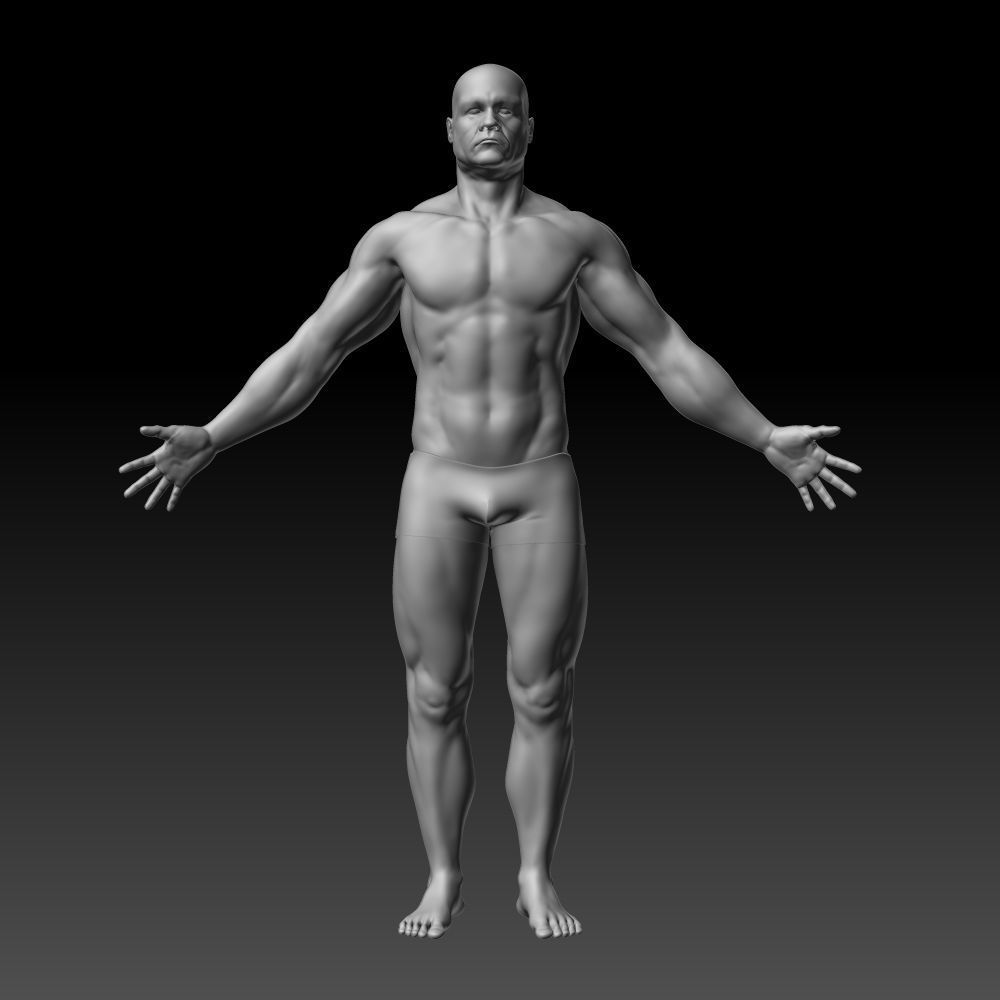 Male body 3D model_10