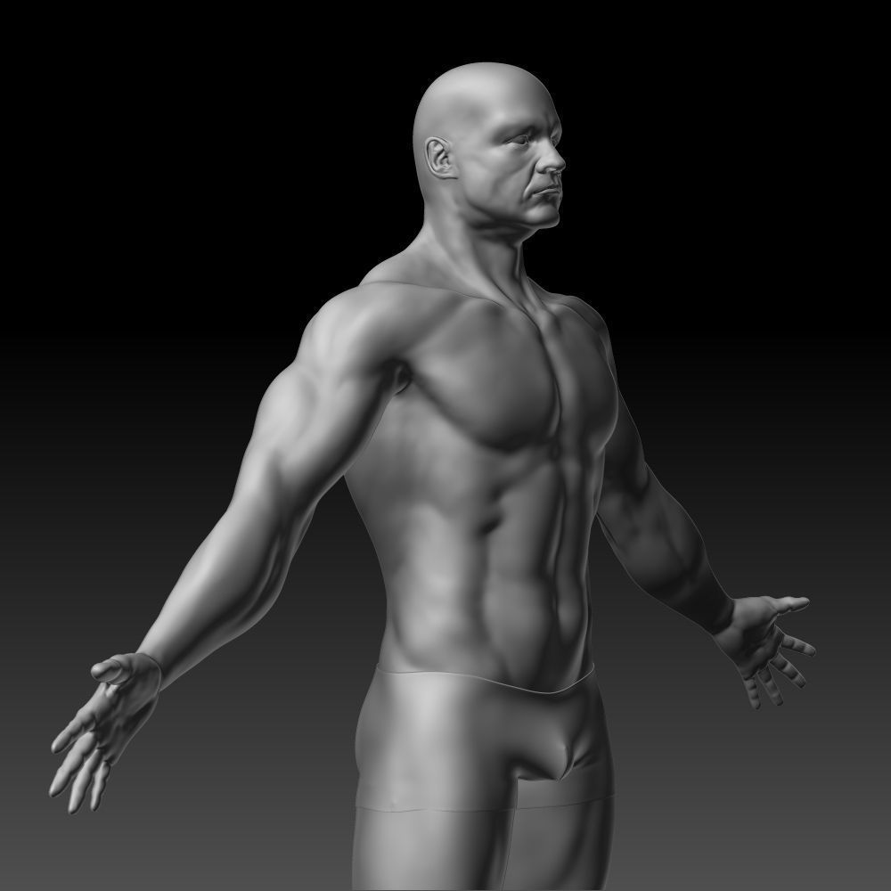 Male body 3D model_11