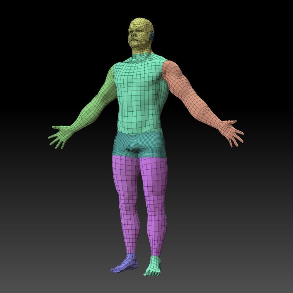Male body 3D model_17