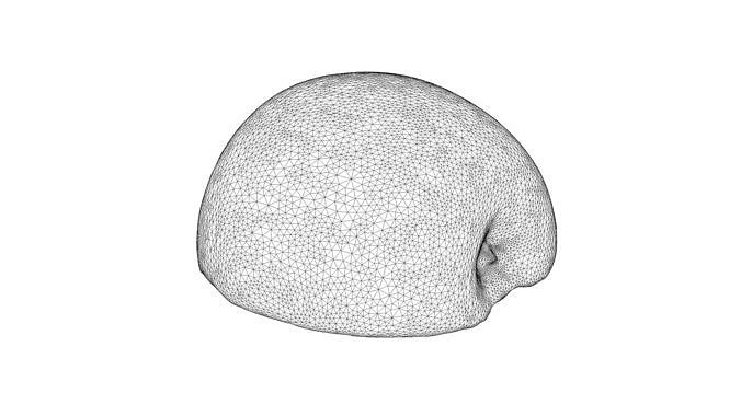 Photorealistic 3D scan of half an apple Low-poly 3D model 5