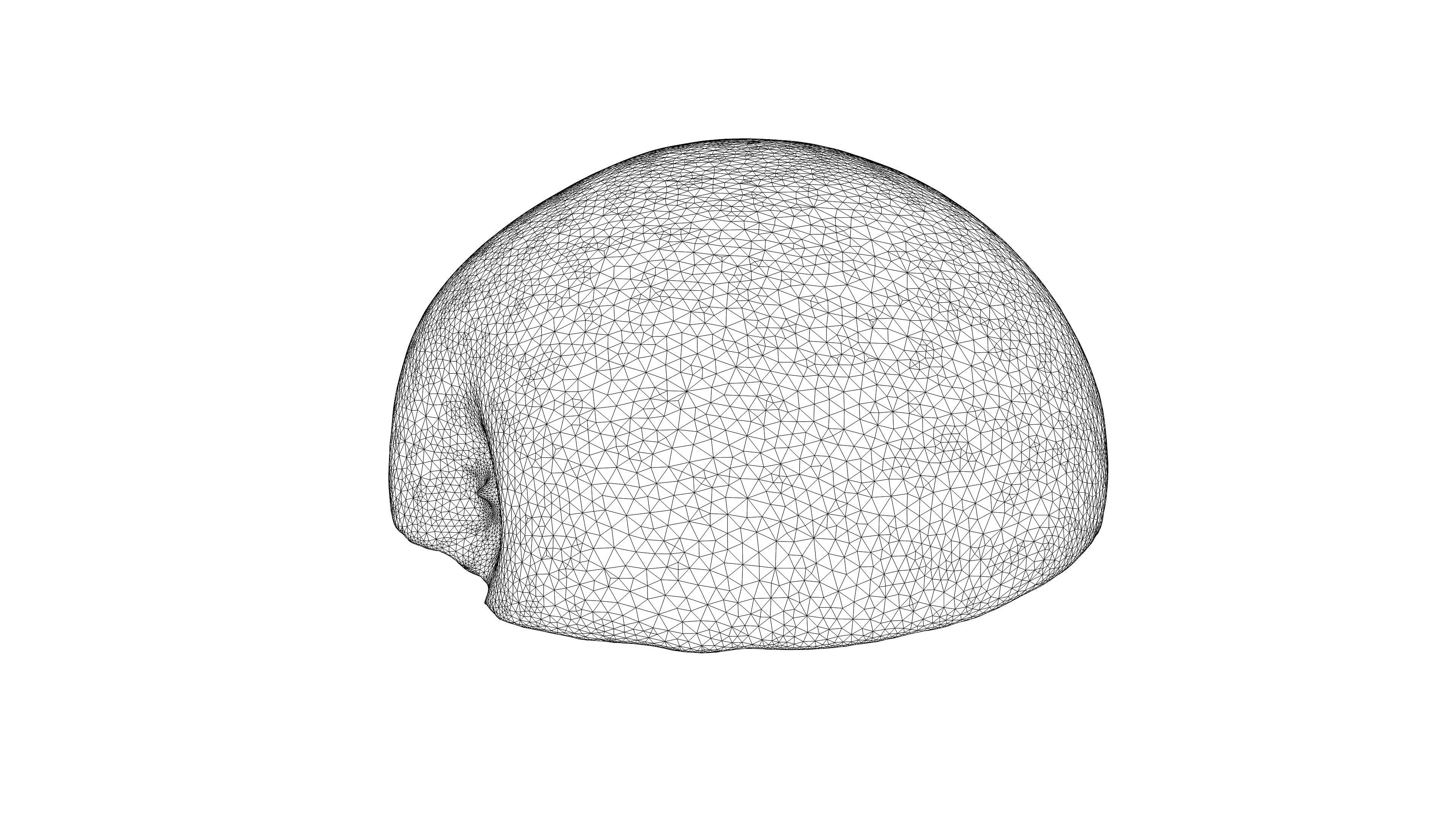 Photorealistic 3D scan of half an apple Low-poly 3D model_23