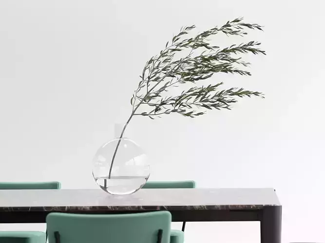 Glass Vase with Olive Branch
