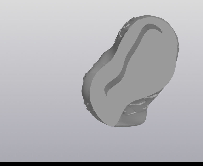 Asyk Kazakh sheep ankle bone 3D print model_9