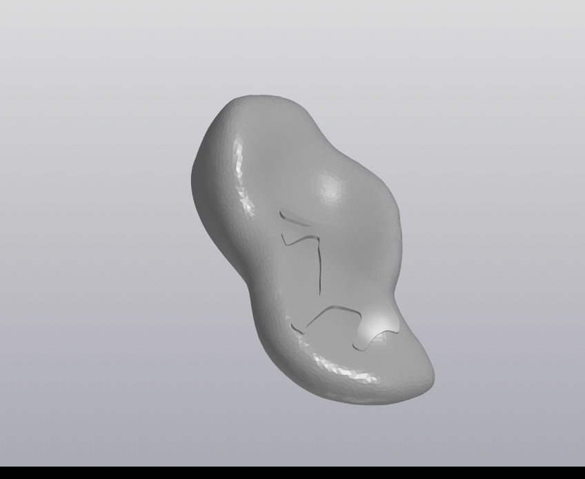 Asyk Kazakh sheep ankle bone 3D print model_2