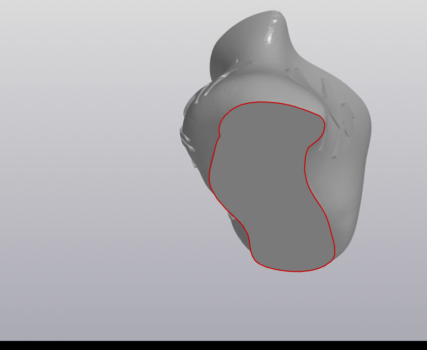 Asyk Kazakh sheep ankle bone 3D print model_10