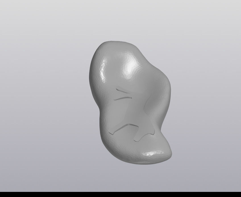 Asyk Kazakh sheep ankle bone 3D print model_3