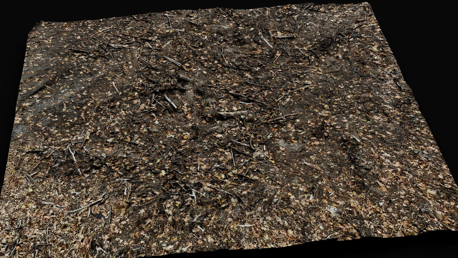 forest ground cutted tree branches leafs photogrammetry Low-poly 3D model_3