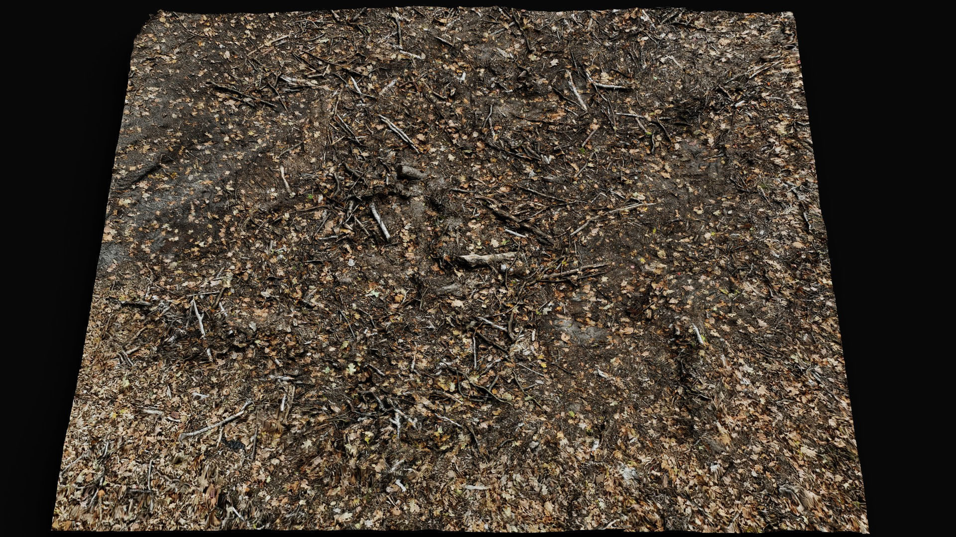 forest ground cutted tree branches leafs photogrammetry Low-poly 3D model_4