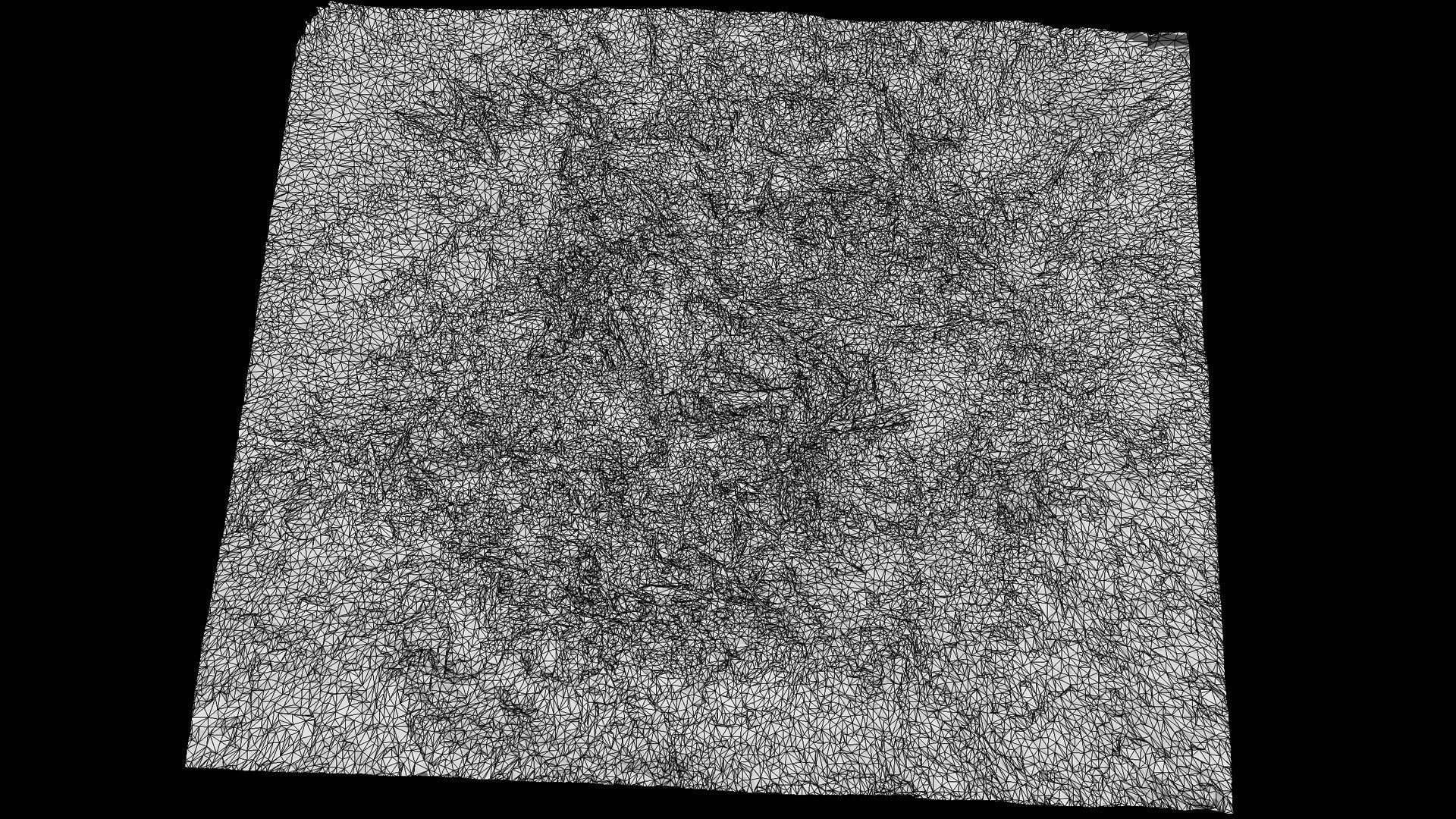 forest ground cutted tree branches leafs photogrammetry Low-poly 3D model_8