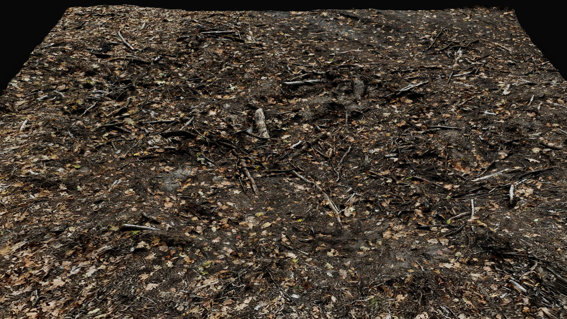 forest ground cutted tree branches leafs photogrammetry Low-poly 3D model_5