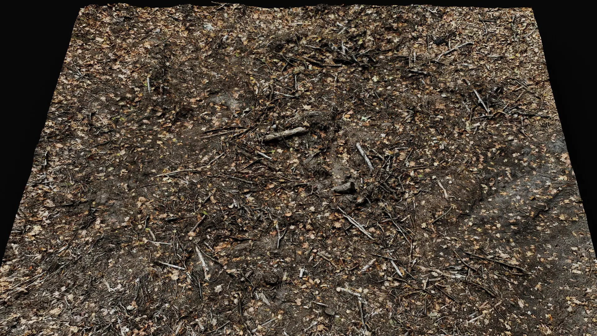 forest ground cutted tree branches leafs photogrammetry Low-poly 3D model_0