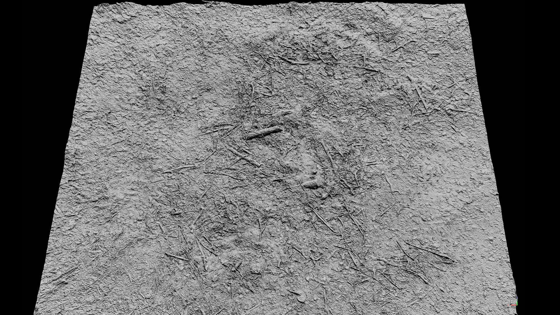 forest ground cutted tree branches leafs photogrammetry Low-poly 3D model_7