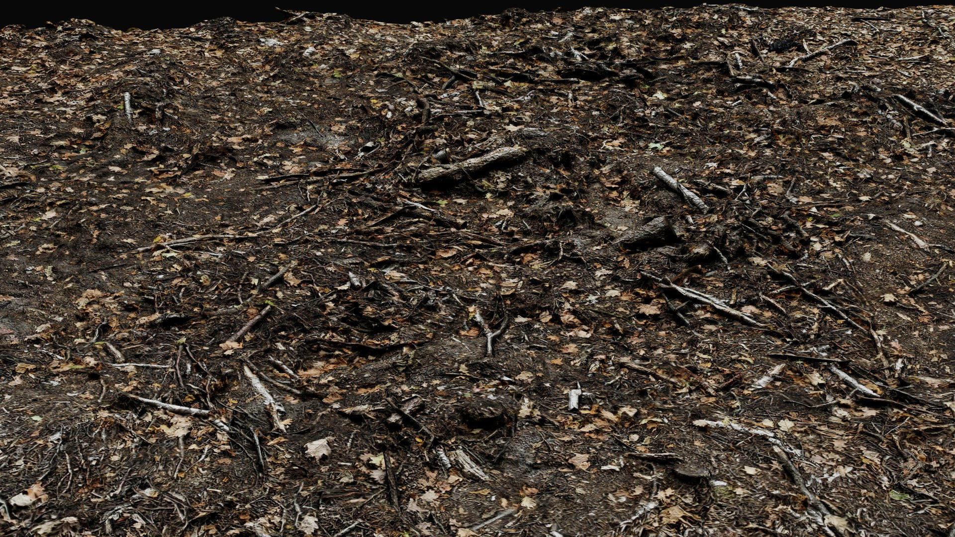 forest ground cutted tree branches leafs photogrammetry Low-poly 3D model_6