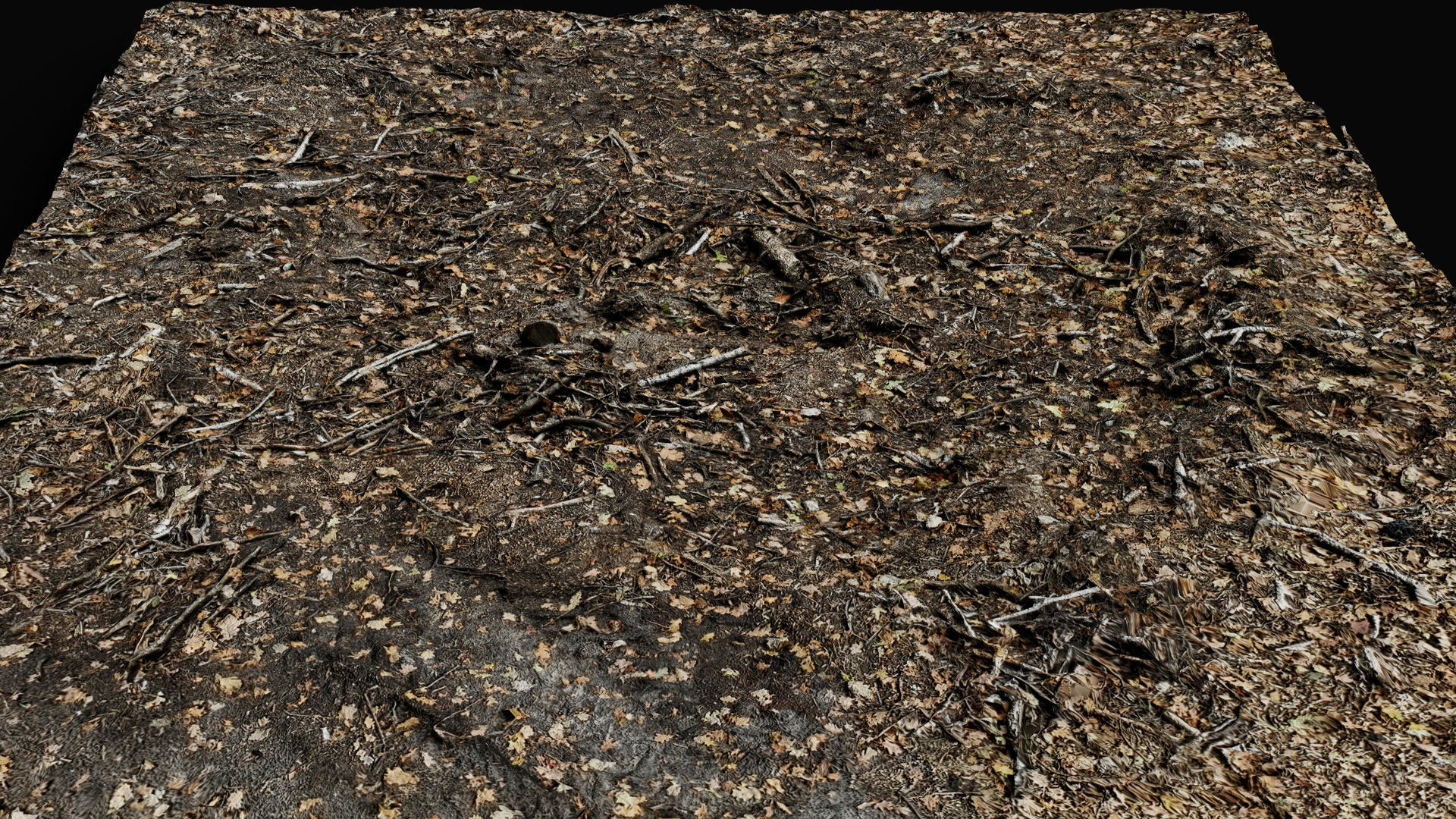 forest ground cutted tree branches leafs photogrammetry Low-poly 3D model_2