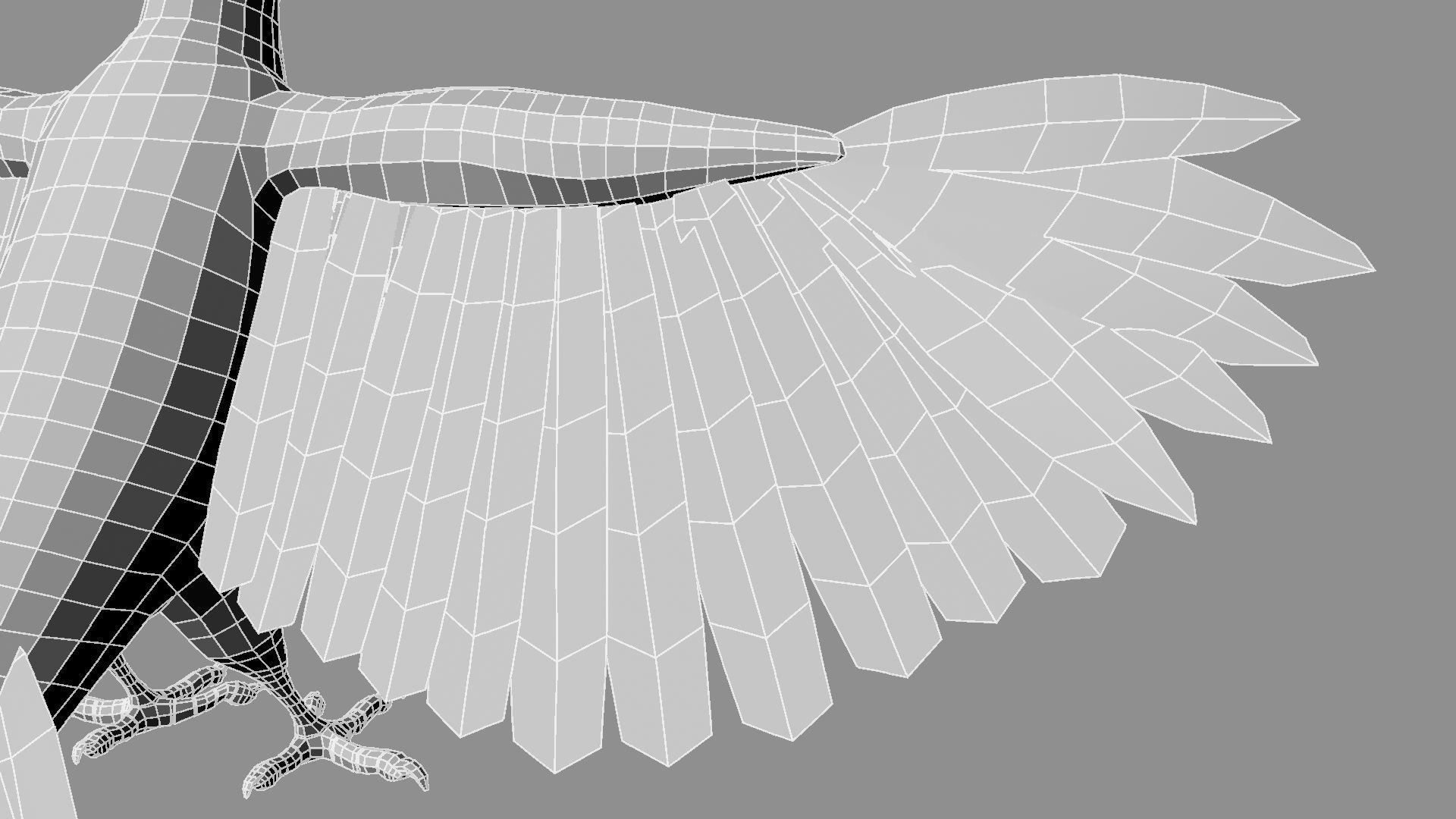 Pileated Woodpecker Animation and Rigging 3D model_38