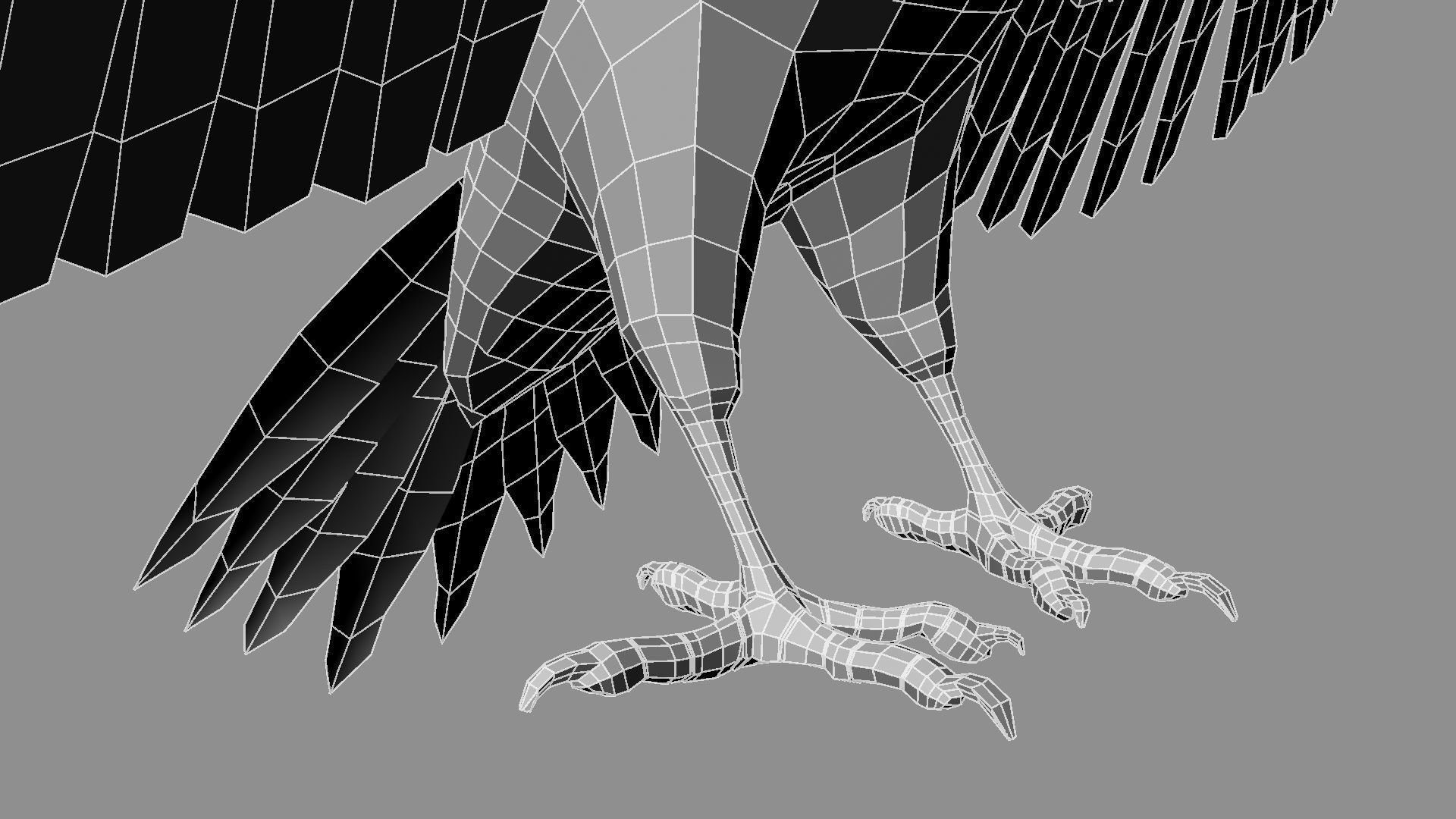 Pileated Woodpecker Animation and Rigging 3D model_42